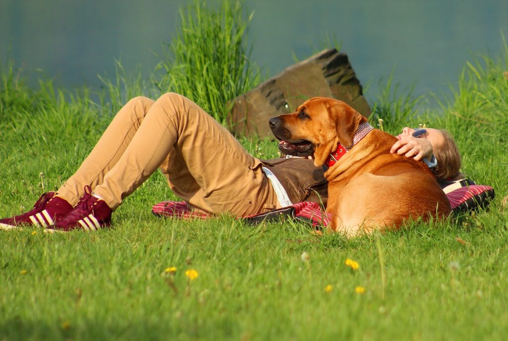 散歩中に休憩している飼い主と犬