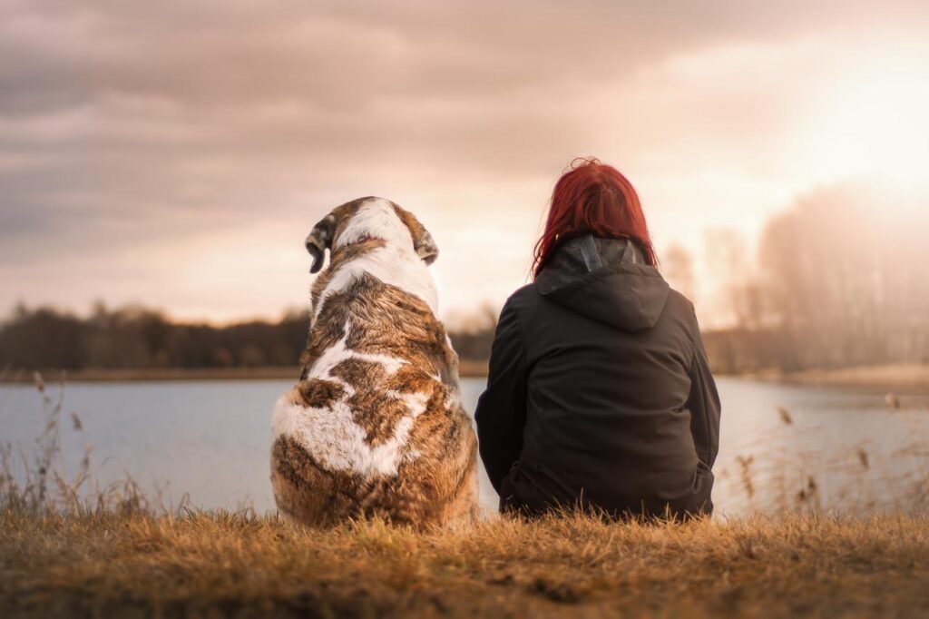 飼い主の女性と大型犬の後ろ姿