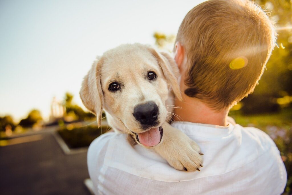 目を輝かせる白犬と飼い主の背中