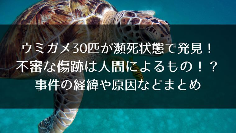 10記事目のアイキャッチ