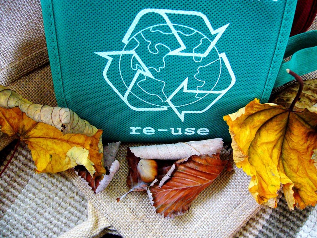 リサイクルボックスと色鮮やかな枯れ葉