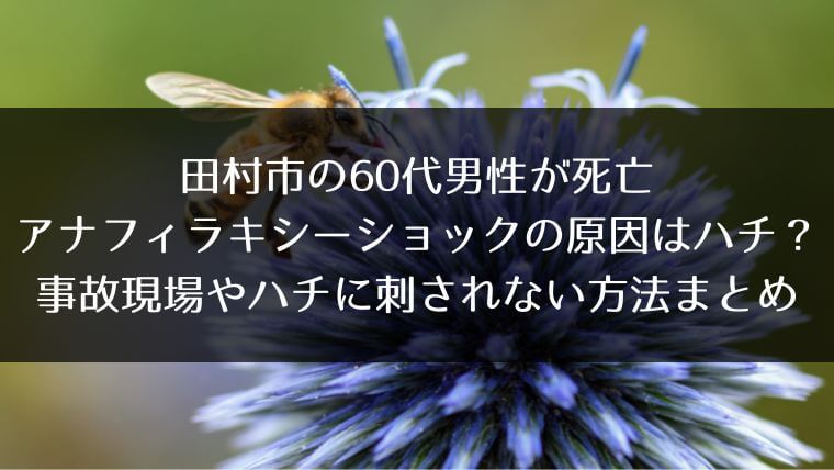 16記事目のアイキャッチ