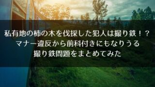 17記事目のアイキャッチ